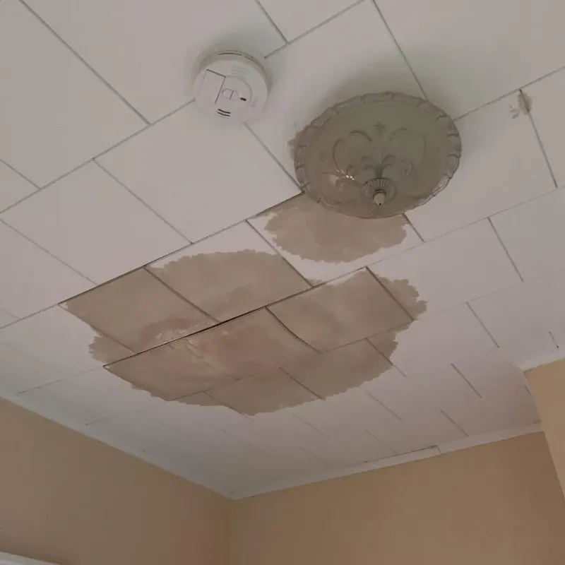 Ceiling Water Damage Repair in Bedford, IN