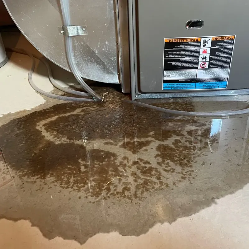 Pipe Burst and Leak Restoration in Bedford, IN